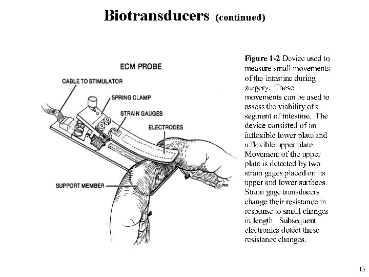 Biotransducers (continued) 15 