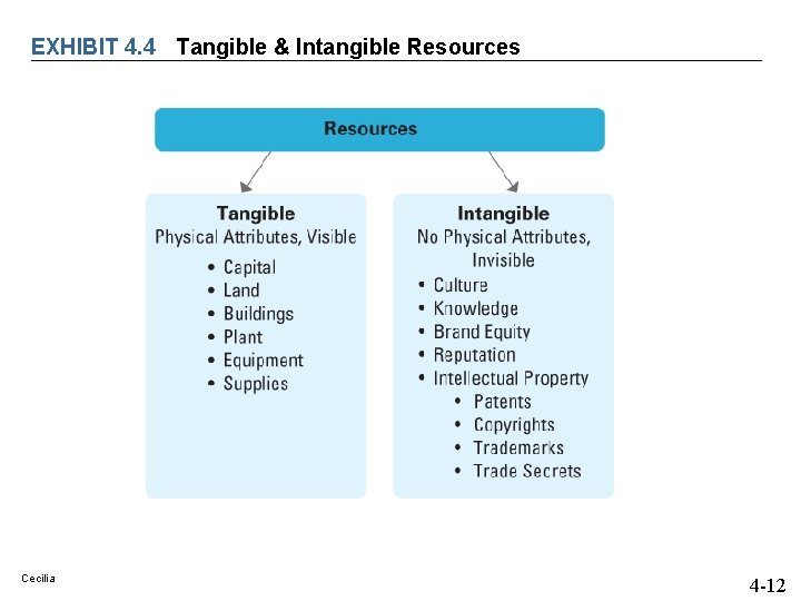 EXHIBIT 4. 4 Tangible & Intangible Resources Cecilia 4 -12 