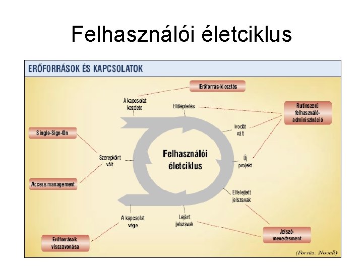 Felhasználói életciklus 