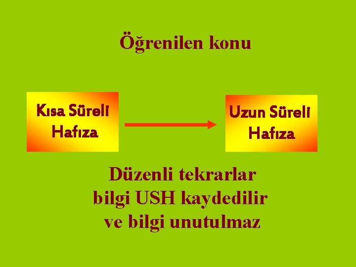 Öğrenilen konu Kısa Süreli Hafıza Uzun Süreli Hafıza Düzenli tekrarlar bilgi USH kaydedilir ve