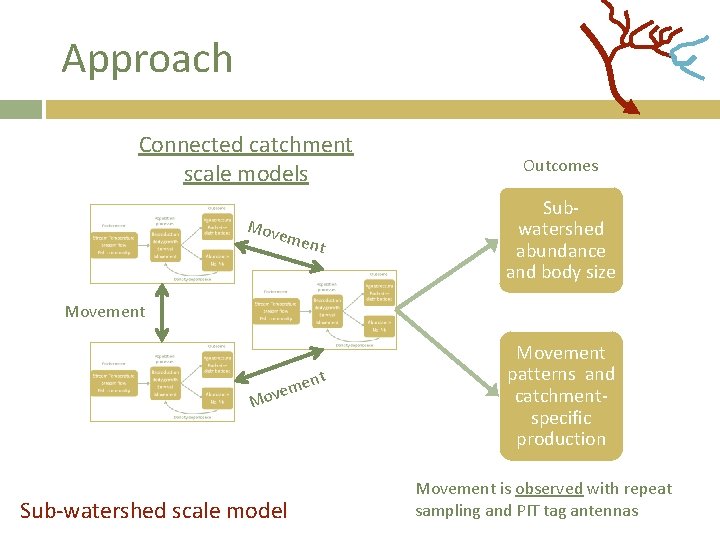 Approach Connected catchment scale models Mov eme nt Outcomes Subwatershed abundance and body size