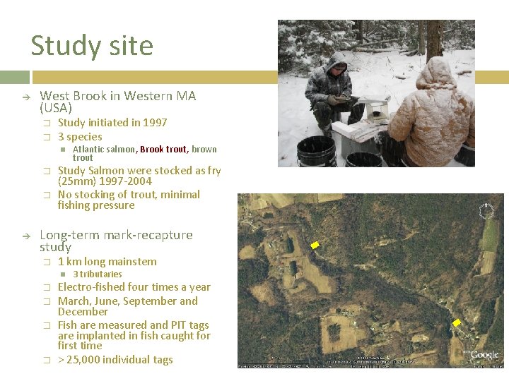 Study site West Brook in Western MA (USA) � � Study initiated in 1997