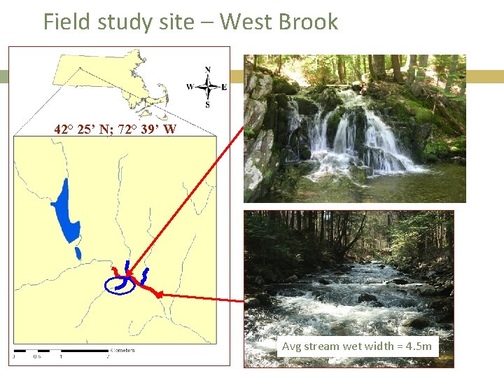 Field study site – West Brook 42° 25’ N; 72° 39’ W Avg stream