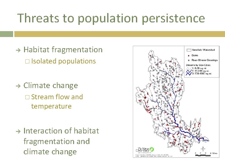 Threats to population persistence Habitat fragmentation � Isolated populations Climate change � Stream flow