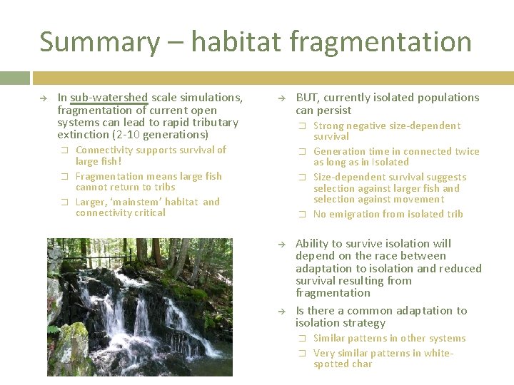 Summary – habitat fragmentation In sub-watershed scale simulations, fragmentation of current open systems can