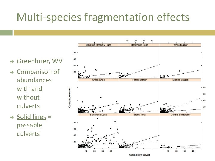 Multi-species fragmentation effects Greenbrier, WV Comparison of abundances with and without culverts Solid lines