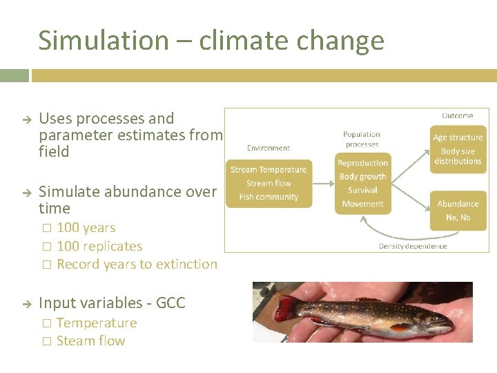 Simulation – climate change Uses processes and parameter estimates from field Simulate abundance over