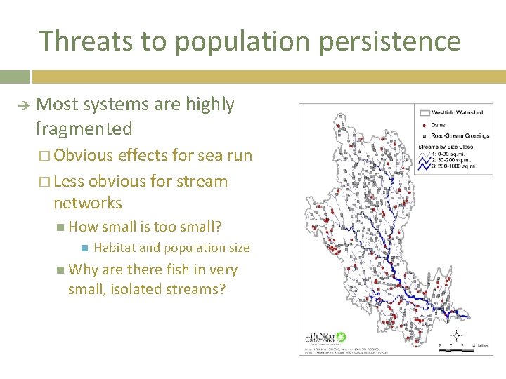 Threats to population persistence Most systems are highly fragmented � Obvious effects for sea