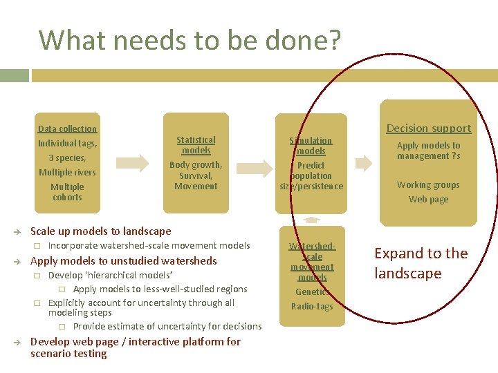 What needs to be done? Data collection Individual tags, 3 species, Multiple rivers Multiple