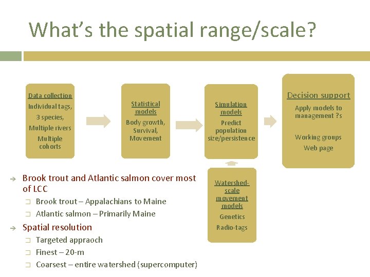 What’s the spatial range/scale? Data collection Individual tags, 3 species, Multiple rivers Multiple cohorts