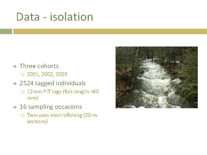 Data - isolation Three cohorts � 2524 tagged individuals � 2001, 2002, 2003 12