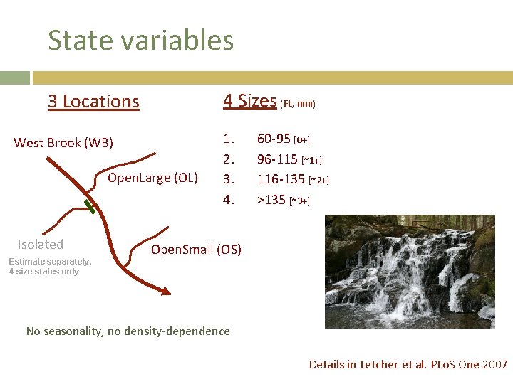 State variables 4 Sizes (FL, mm) 3 Locations West Brook (WB) Open. Large (OL)