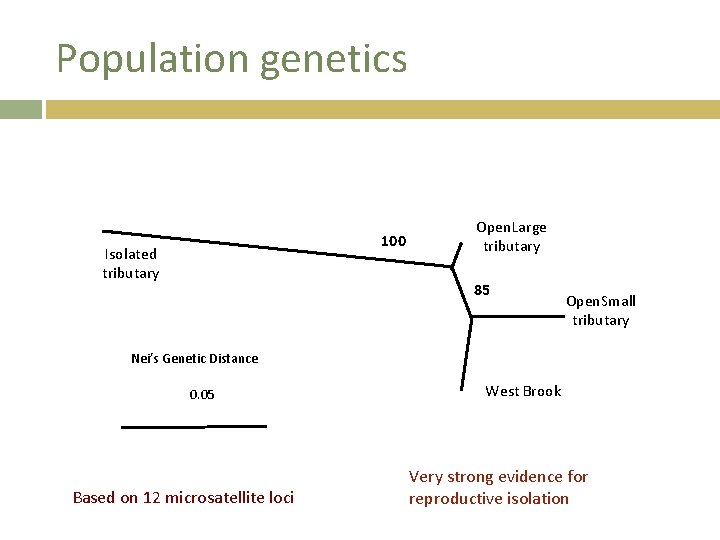 Population genetics 100 Isolated tributary Open. Large tributary 85 Open. Small tributary Nei’s Genetic