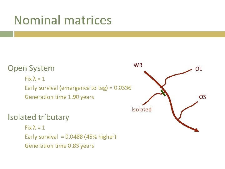 Nominal matrices Open System WB Fix λ = 1 Early survival (emergence to tag)