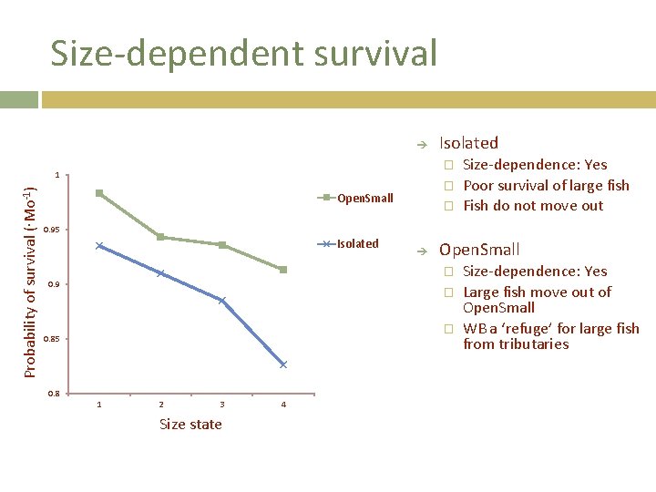 Size-dependent survival � 1 Probability of survival (∙Mo-1) Isolated � Open. Small � Size-dependence: