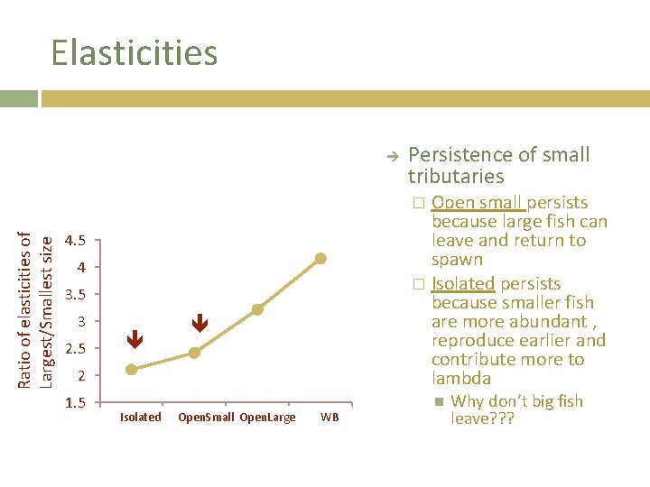 Elasticities Persistence of small tributaries Open small persists because large fish can leave and