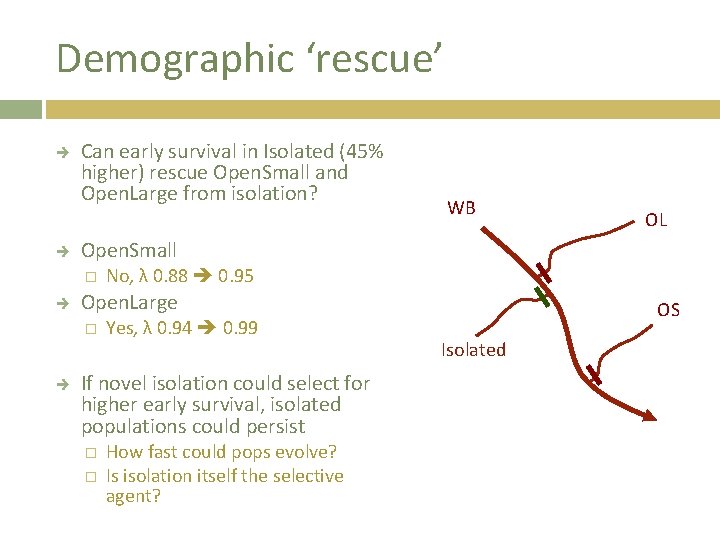 Demographic ‘rescue’ Can early survival in Isolated (45% higher) rescue Open. Small and Open.