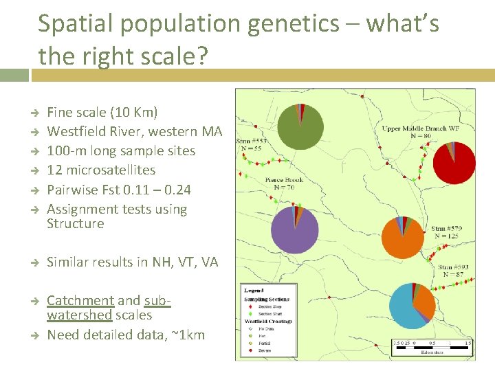 Spatial population genetics – what’s the right scale? Fine scale (10 Km) Westfield River,