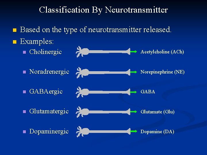 Classification By Neurotransmitter n n Based on the type of neurotransmitter released. Examples: n