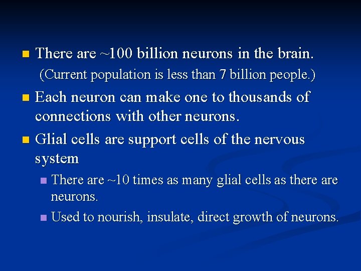 n There are ~100 billion neurons in the brain. (Current population is less than