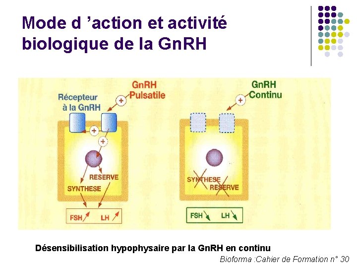 Mode d ’action et activité biologique de la Gn. RH Désensibilisation hypophysaire par la
