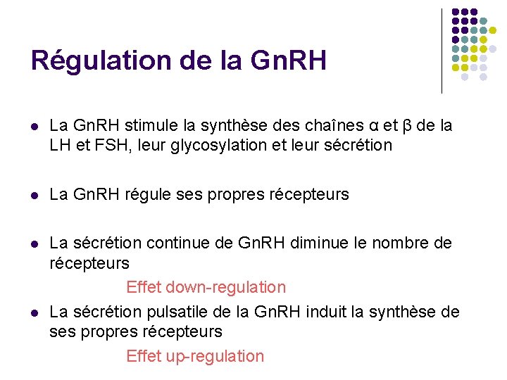 Régulation de la Gn. RH l La Gn. RH stimule la synthèse des chaînes