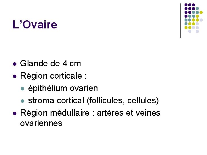 L’Ovaire l l l Glande de 4 cm Région corticale : l épithélium ovarien