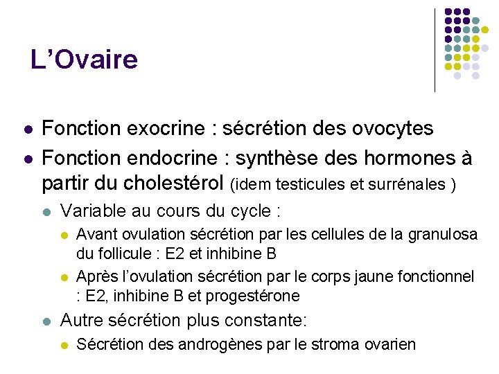 L’Ovaire l l Fonction exocrine : sécrétion des ovocytes Fonction endocrine : synthèse des