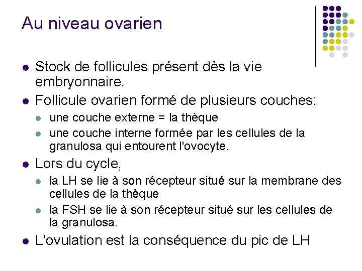 Au niveau ovarien l l Stock de follicules présent dès la vie embryonnaire. Follicule
