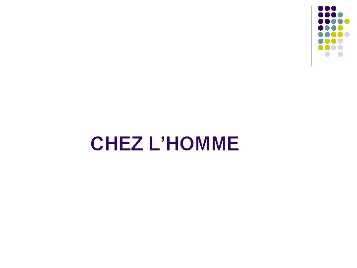 CHEZ L’HOMME 