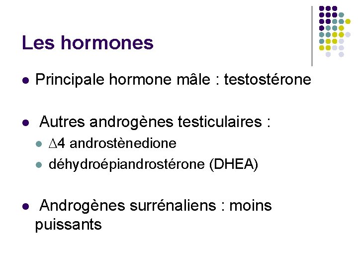 Les hormones l Principale hormone mâle : testostérone l Autres androgènes testiculaires : l
