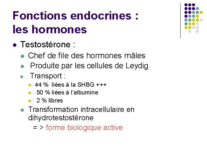 Fonctions endocrines : les hormones l Testostérone : l l Chef de file des