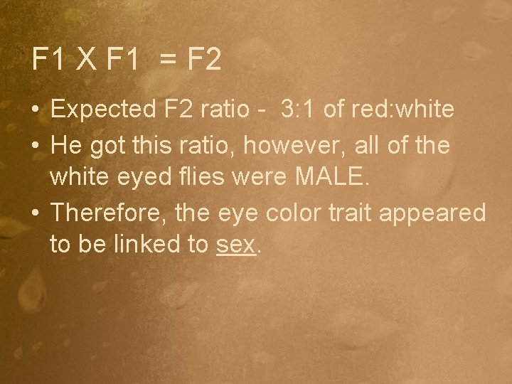 F 1 X F 1 = F 2 • Expected F 2 ratio -