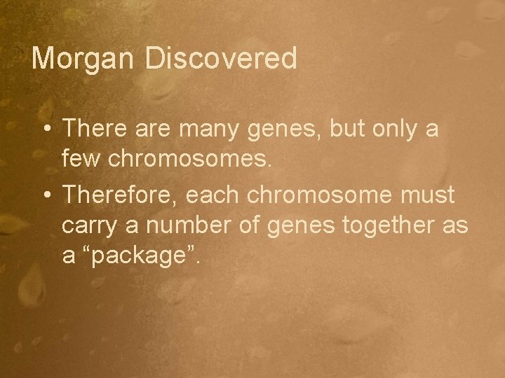 Morgan Discovered • There are many genes, but only a few chromosomes. • Therefore,