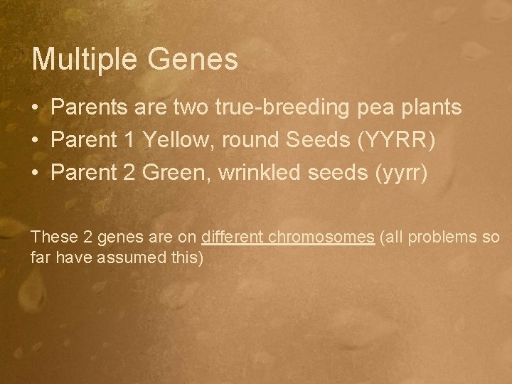 Multiple Genes • Parents are two true-breeding pea plants • Parent 1 Yellow, round