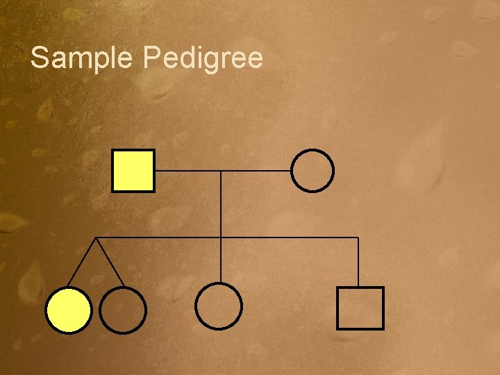 Sample Pedigree 