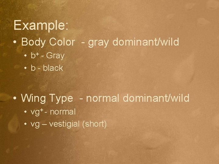 Example: • Body Color - gray dominant/wild • b+ - Gray • b -