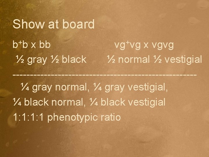 Show at board b+b x bb vg+vg x vgvg ½ gray ½ black ½