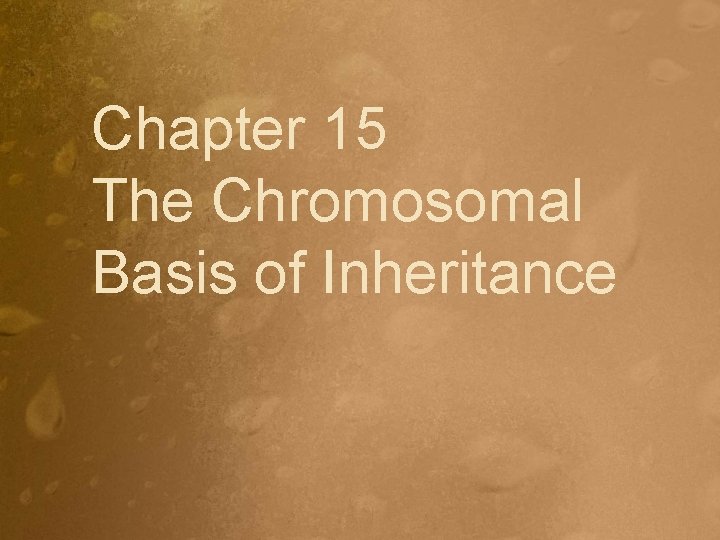 Chapter 15 The Chromosomal Basis of Inheritance 