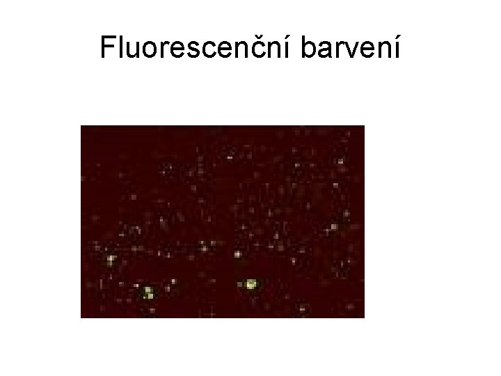 Fluorescenční barvení 