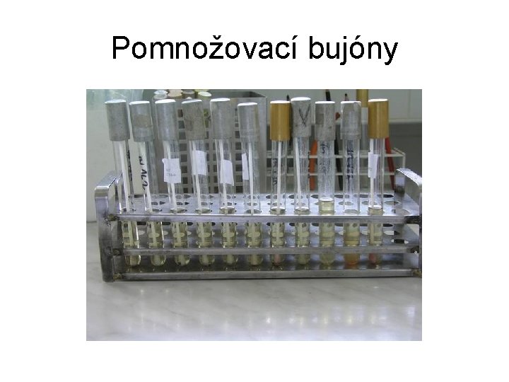 Pomnožovací bujóny 