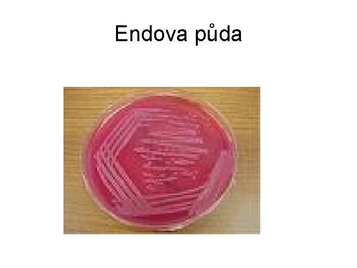 Endova půda 