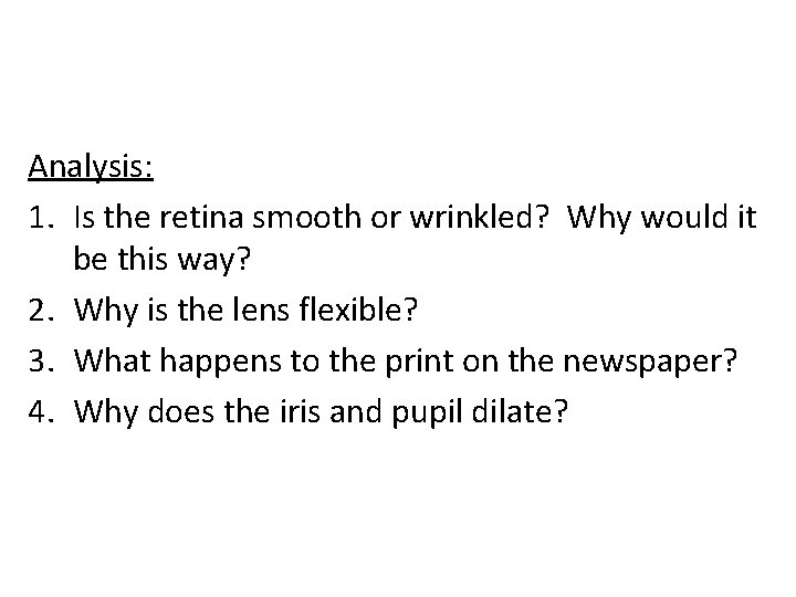 Analysis: 1. Is the retina smooth or wrinkled? Why would it be this way?