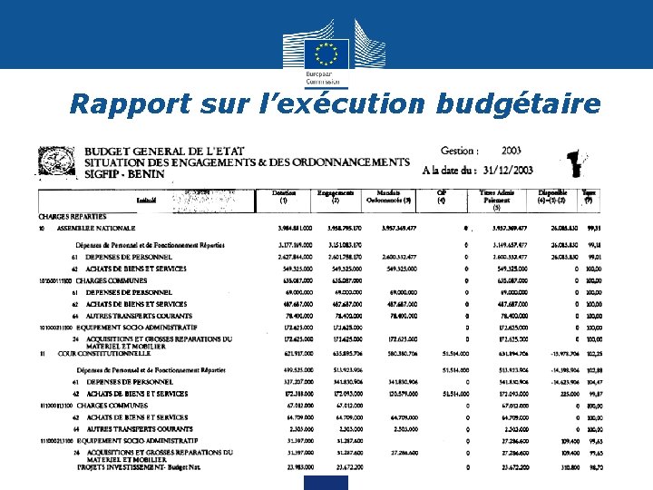 Rapport sur l’exécution budgétaire 8 