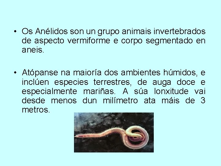  • Os Anélidos son un grupo animais invertebrados de aspecto vermiforme e corpo