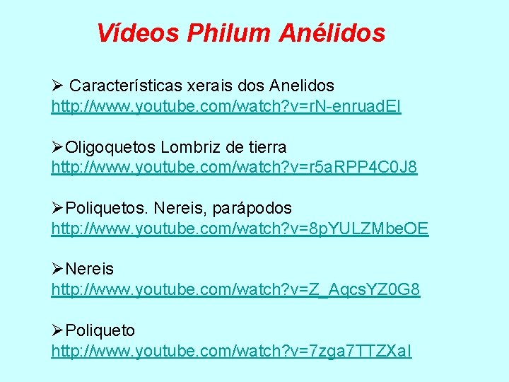 Vídeos Philum Anélidos Ø Características xerais dos Anelidos http: //www. youtube. com/watch? v=r. N-enruad.