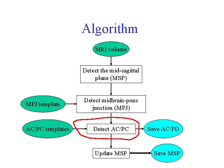 Algorithm MRI volume Detect the mid-sagittal plane (MSP) MPJ template AC/PC templates Detect midbrain-pons