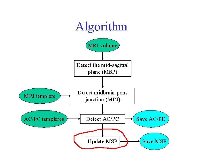 Algorithm MRI volume Detect the mid-sagittal plane (MSP) MPJ template AC/PC templates Detect midbrain-pons