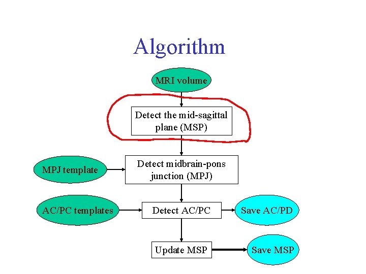 Algorithm MRI volume Detect the mid-sagittal plane (MSP) MPJ template AC/PC templates Detect midbrain-pons