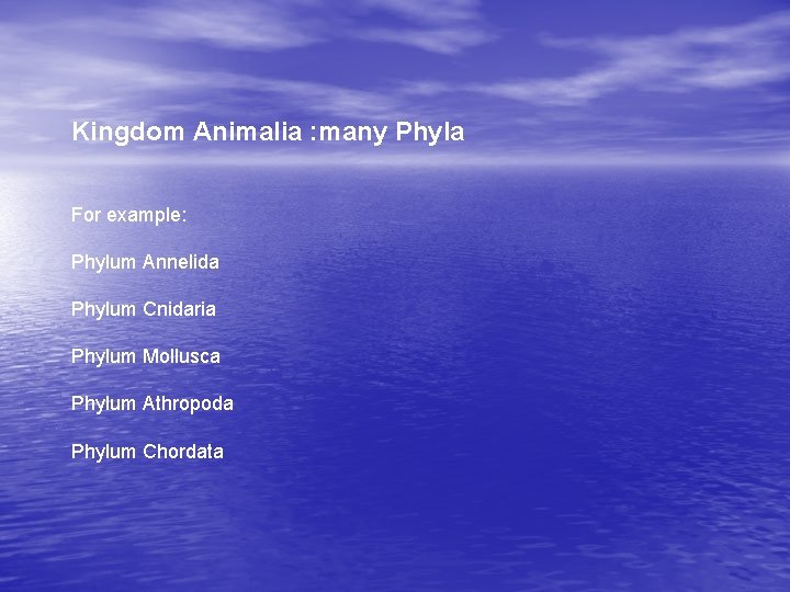Kingdom Animalia : many Phyla For example: Phylum Annelida Phylum Cnidaria Phylum Mollusca Phylum